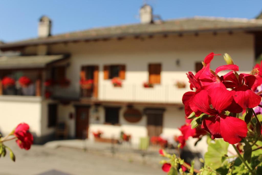 Agriturismo Au Jardin Fleuri Antey-Saint-André Eksteriør bilde