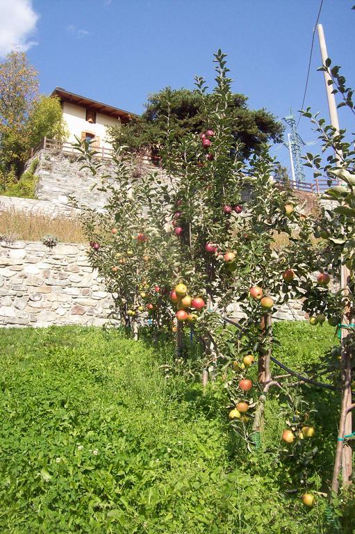 Agriturismo Au Jardin Fleuri Antey-Saint-André Eksteriør bilde